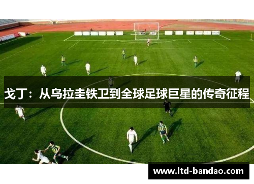 戈丁：从乌拉圭铁卫到全球足球巨星的传奇征程