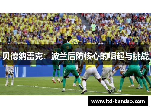 贝德纳雷克：波兰后防核心的崛起与挑战
