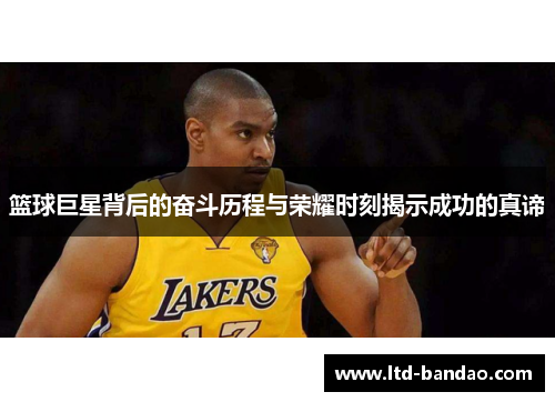 篮球巨星背后的奋斗历程与荣耀时刻揭示成功的真谛