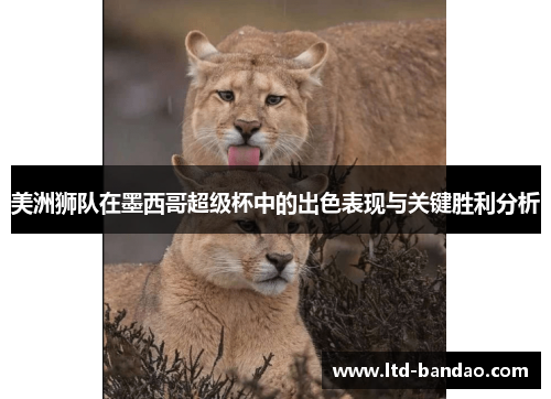 美洲狮队在墨西哥超级杯中的出色表现与关键胜利分析
