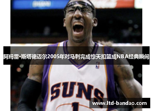 阿玛雷·斯塔德迈尔2005年对马刺完成惊天扣篮成NBA经典瞬间