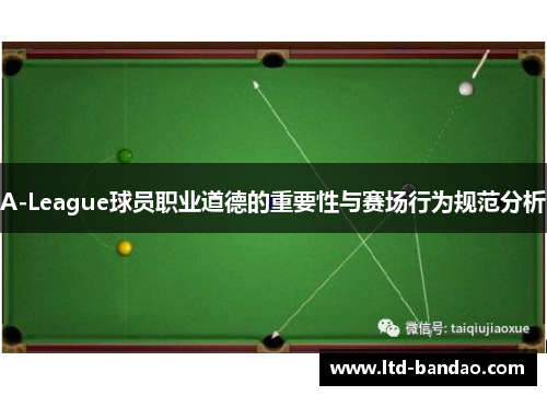 A-League球员职业道德的重要性与赛场行为规范分析
