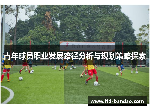 青年球员职业发展路径分析与规划策略探索
