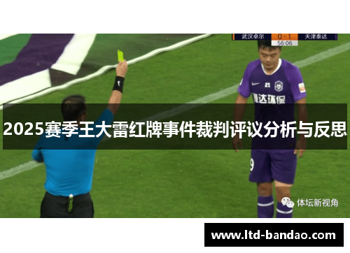 2025赛季王大雷红牌事件裁判评议分析与反思
