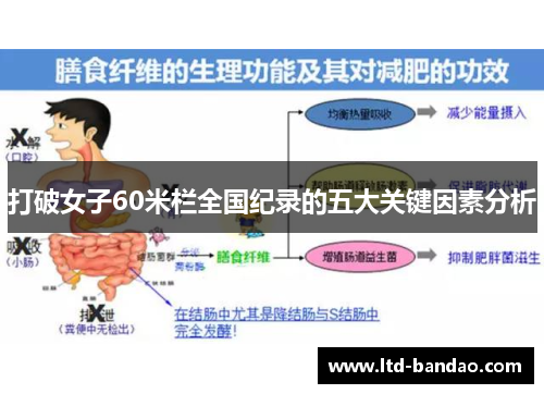 打破女子60米栏全国纪录的五大关键因素分析