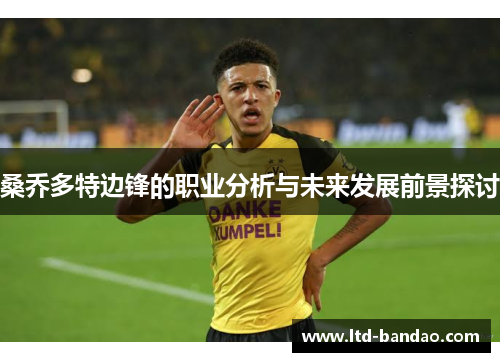桑乔多特边锋的职业分析与未来发展前景探讨