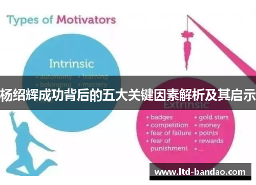 杨绍辉成功背后的五大关键因素解析及其启示