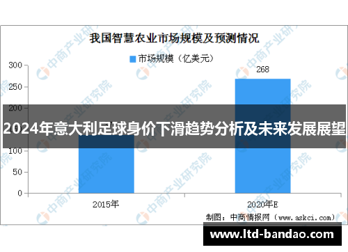 2024年意大利足球身价下滑趋势分析及未来发展展望