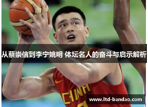 从蔡崇信到李宁姚明 体坛名人的奋斗与启示解析