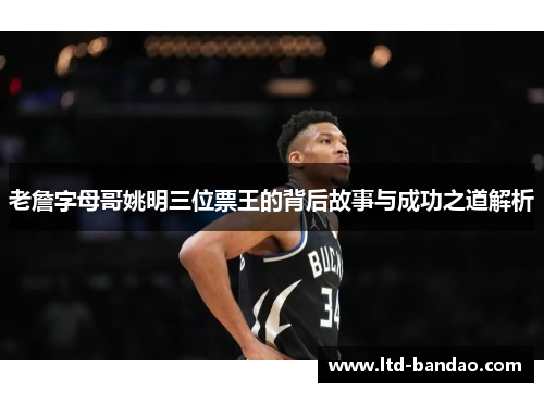老詹字母哥姚明三位票王的背后故事与成功之道解析