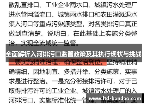 全面解析入河排污口监管政策及其执行现状与挑战