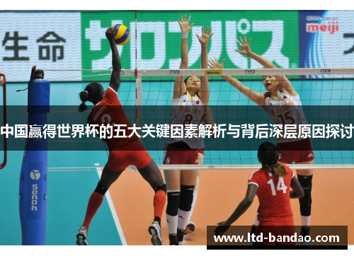 中国赢得世界杯的五大关键因素解析与背后深层原因探讨